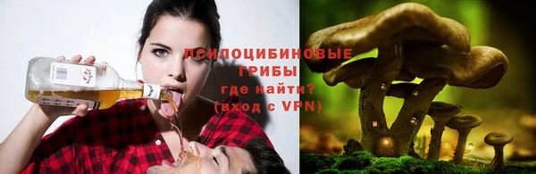 кокаин колумбия Дмитриев