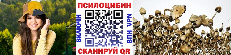 Галлюциногенные грибы GOLDEN TEACHER Купить закладки Нягань